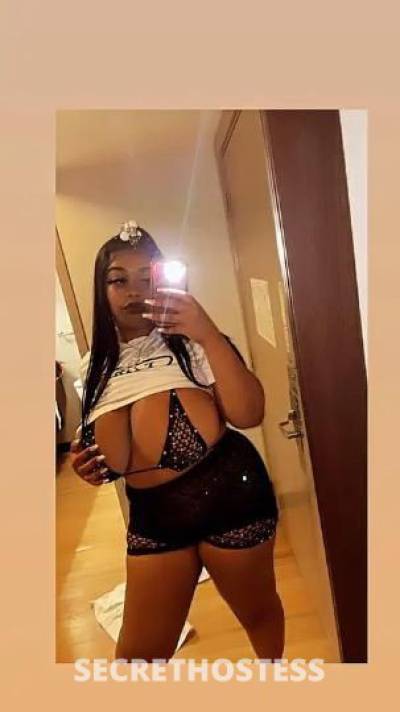 24Yrs Old Escort New Orleans LA Image - 6