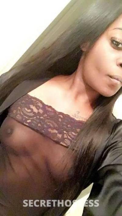 28Yrs Old Escort Los Angeles CA Image - 0