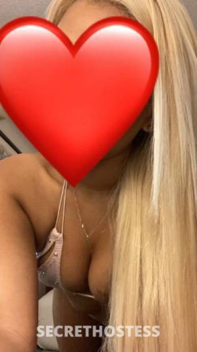 28Yrs Old Escort Tampa FL Image - 0