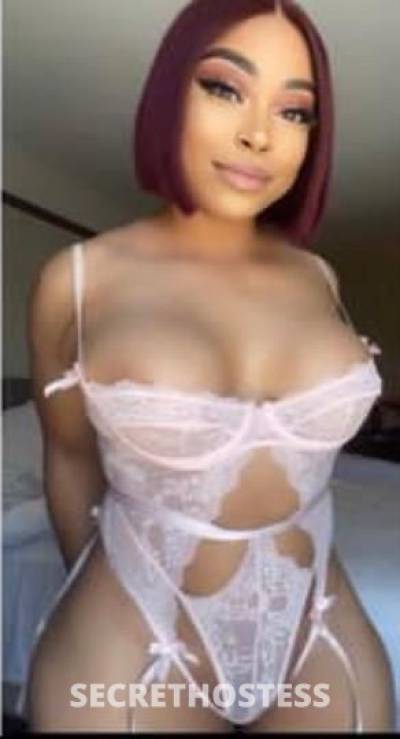 Amirah 25Yrs Old Escort Shreveport LA Image - 3