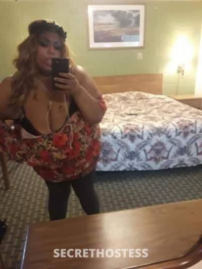 Annalees 23Yrs Old Escort Canton OH Image - 6