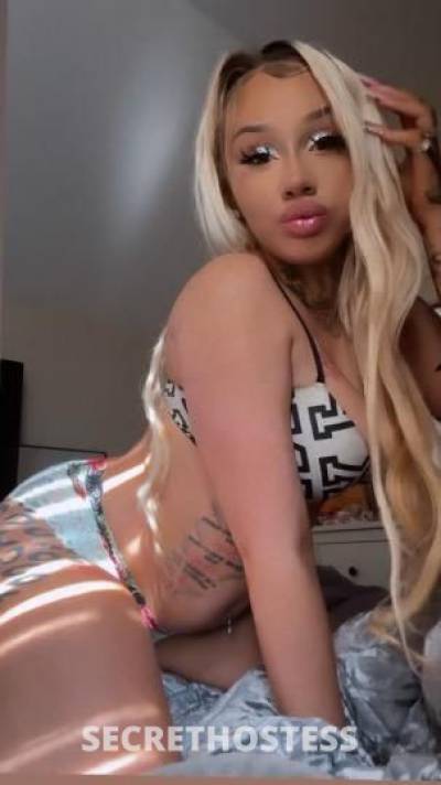 21 year old Escort in San Jose CA Blondie