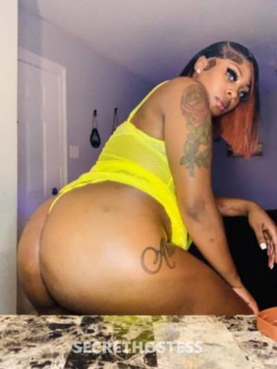 Brandy 22Yrs Old Escort Little Rock AR Image - 0