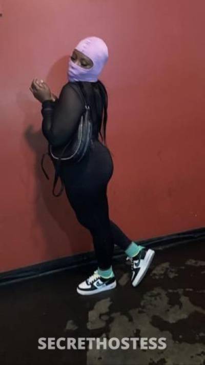 Bunny 26Yrs Old Escort Dayton OH Image - 4