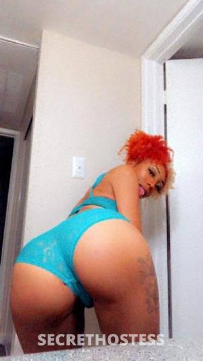 Candy 21Yrs Old Escort Phoenix AZ Image - 4