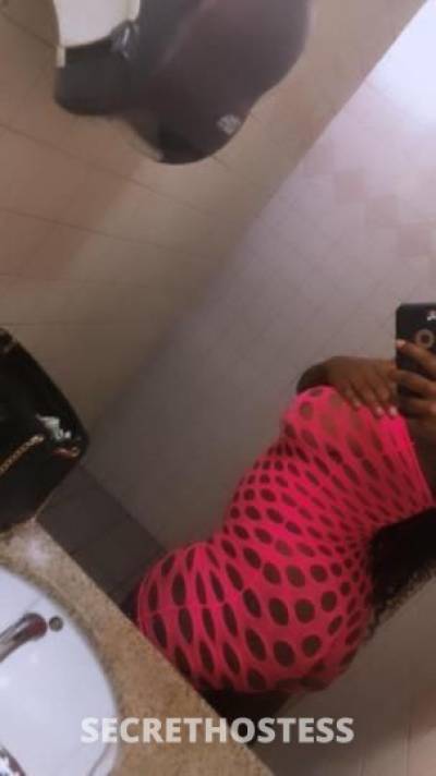 Caramel 23Yrs Old Escort Tampa FL Image - 0