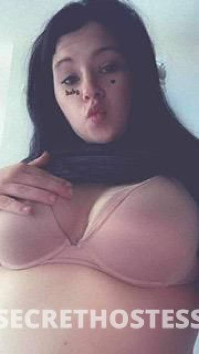 Cece 23Yrs Old Escort Dayton OH Image - 4