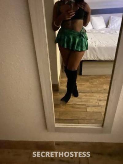 Cocokisses 23Yrs Old Escort Austin TX Image - 3