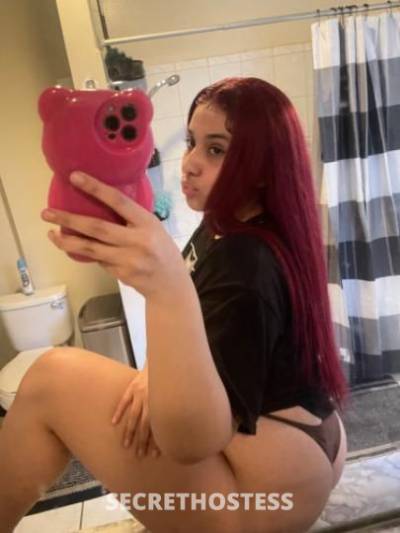 Daphne🐱🩷 19Yrs Old Escort Los Angeles CA Image - 3