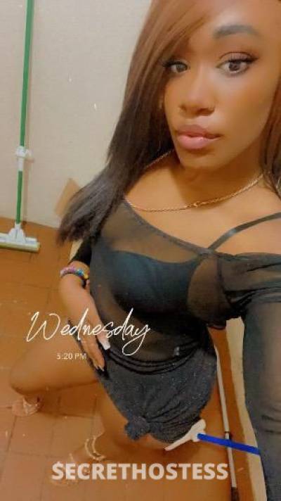 Desirae 25Yrs Old Escort Albuquerque NM Image - 2