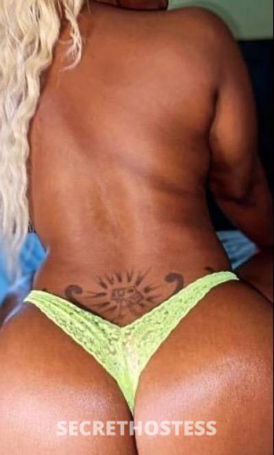 Giq 29Yrs Old Escort Brooklyn NY Image - 0