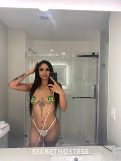 Kayla 23Yrs Old Escort San Jose CA Image - 2