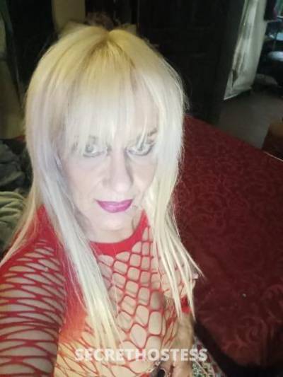 Lora 53Yrs Old Escort Tampa FL Image - 0