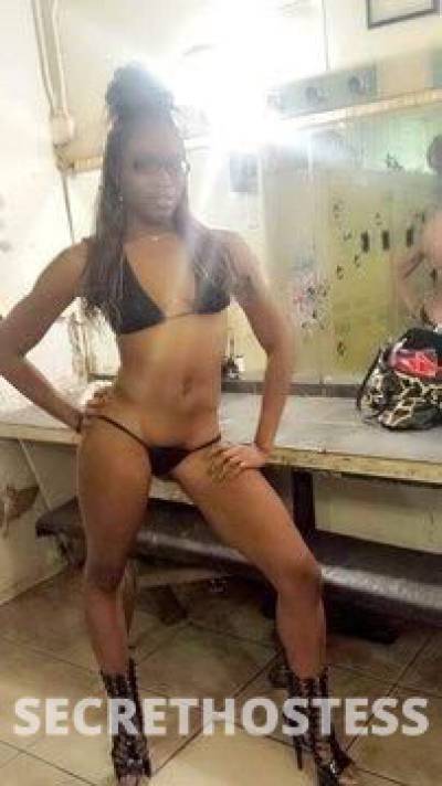 Lyrique 32Yrs Old Escort San Antonio TX Image - 1