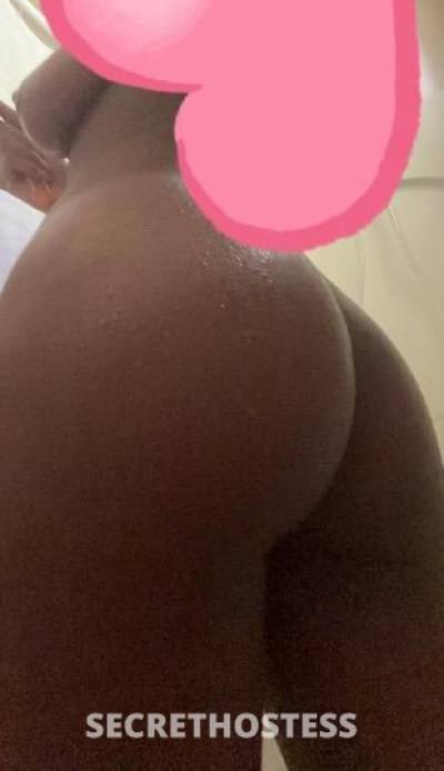 Mocha 23Yrs Old Escort Hartford CT Image - 1