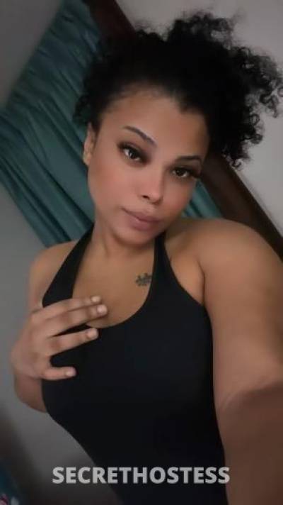 Phoenix 22Yrs Old Escort Boston MA Image - 2