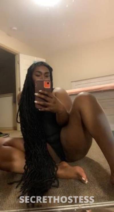 Phoenix 24Yrs Old Escort Brooklyn NY Image - 4