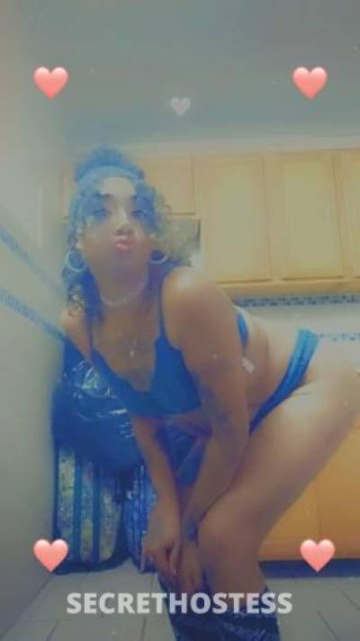 Pleasure 27Yrs Old Escort Flint MI Image - 7