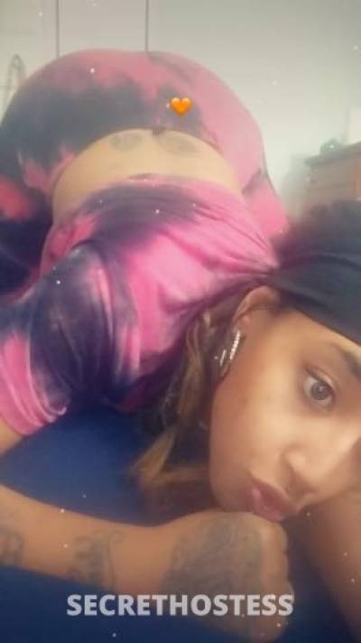 Pleasure 27Yrs Old Escort Flint MI Image - 11