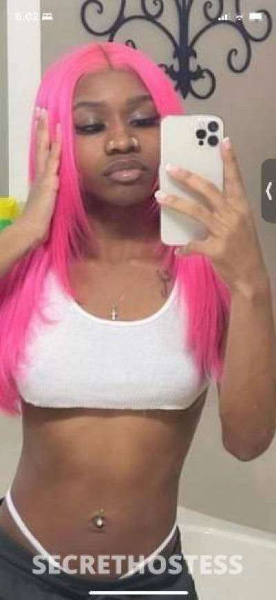 Pussyfairy 19Yrs Old Escort South Jersey NJ Image - 1