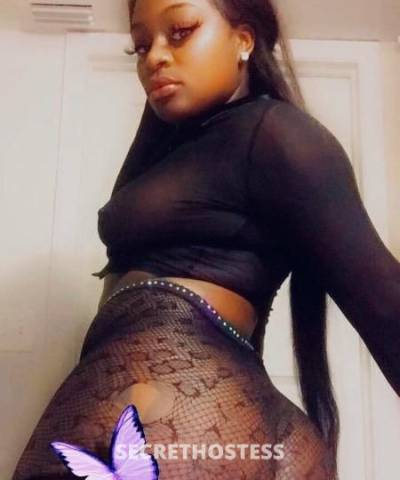 Rain 28Yrs Old Escort Tampa FL Image - 2