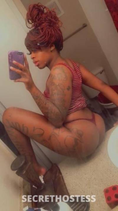 Redd 25Yrs Old Escort Dallas TX Image - 0