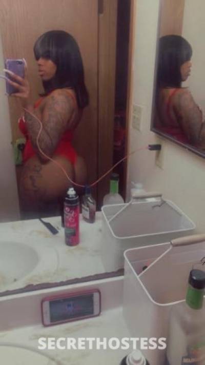 Redd 25Yrs Old Escort Dallas TX Image - 1