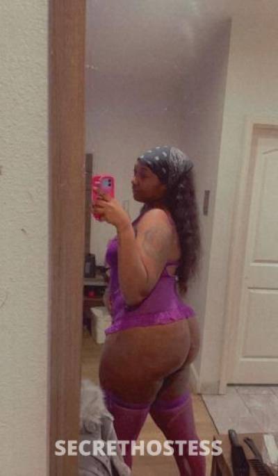 Stallion 27Yrs Old Escort Houston TX Image - 1