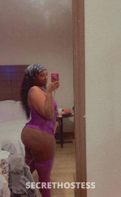 Stallion 27Yrs Old Escort Houston TX Image - 2