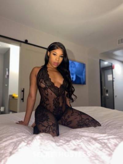 Yas 23Yrs Old Escort New York City NY Image - 1