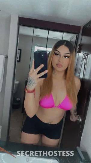 Mercedes 21Yrs Old Escort San Antonio TX Image - 6