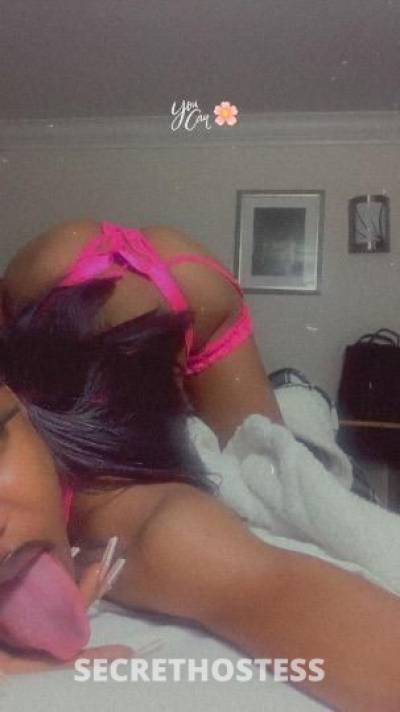 22Yrs Old Escort Fort Lauderdale FL Image - 0