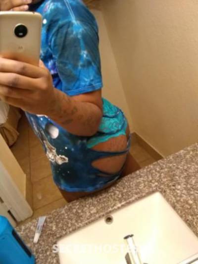 25Yrs Old Escort Tampa FL Image - 1