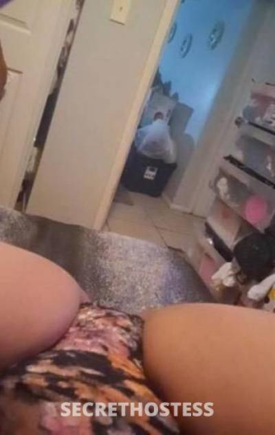 28Yrs Old Escort Tampa FL Image - 2