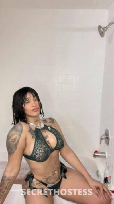 Alanna 23Yrs Old Escort Austin TX Image - 0