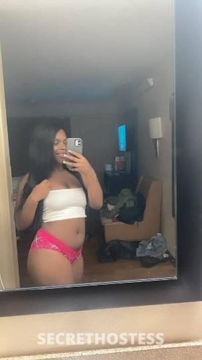 Angel 23Yrs Old Escort Milwaukee WI Image - 1