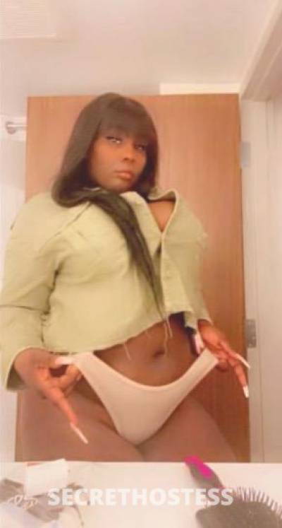 Babylove 32Yrs Old Escort Little Rock AR Image - 1