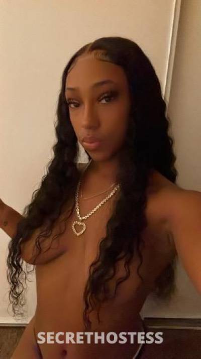 Bunny 21Yrs Old Escort Las Vegas NV Image - 0