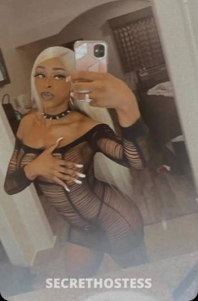 Bunny 26Yrs Old Escort 170CM Tall Portland OR Image - 10