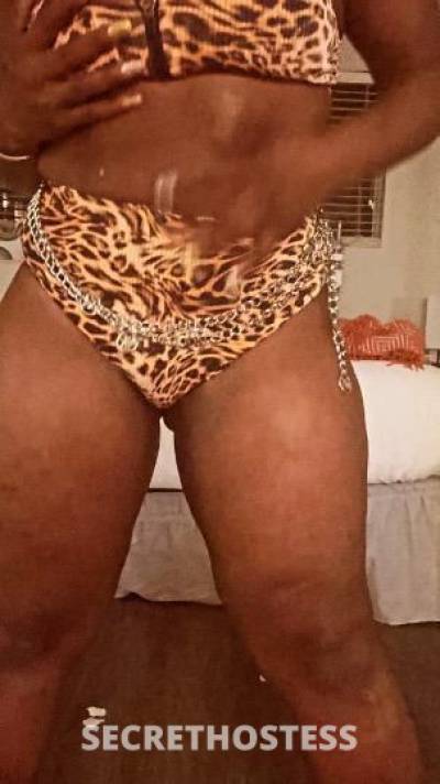 CHOCOLATE 28Yrs Old Escort San Fernando Valley CA Image - 4