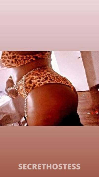 CHOCOLATE 28Yrs Old Escort San Fernando Valley CA Image - 5