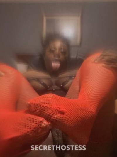 CandysCane 23Yrs Old Escort Chicago IL Image - 3