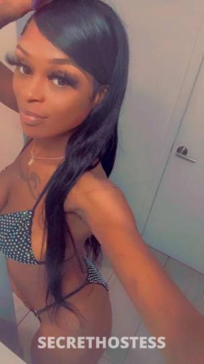 Chocolate 24Yrs Old Escort Fresno CA Image - 1