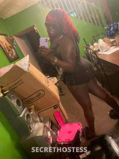 Chocolate 28Yrs Old Escort Baltimore MD Image - 7