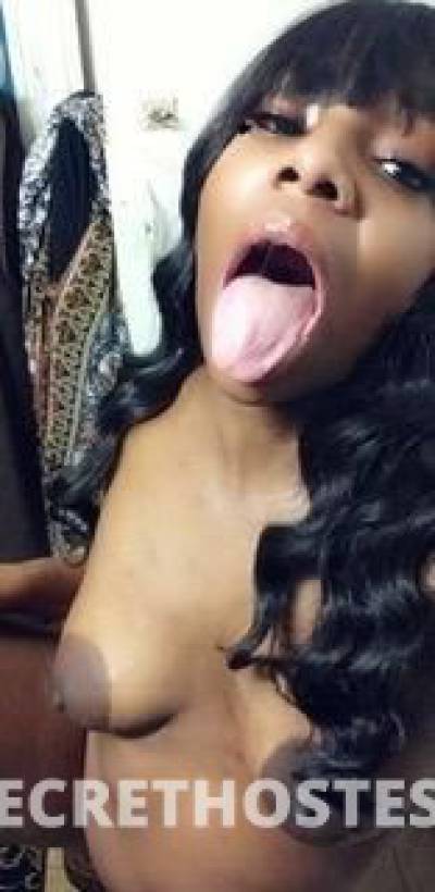 Coco🍑🍑🍑🤤 25Yrs Old Escort Houston TX Image - 3