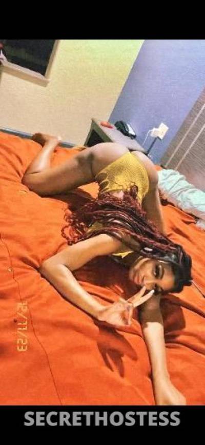 DREAMYCREAMY 23Yrs Old Escort 180CM Tall Houston TX Image - 2