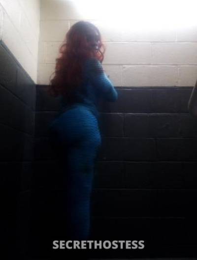 Desire 28Yrs Old Escort Bronx NY Image - 2