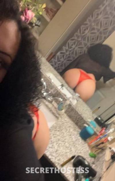 Ebony 23Yrs Old Escort San Antonio TX Image - 3