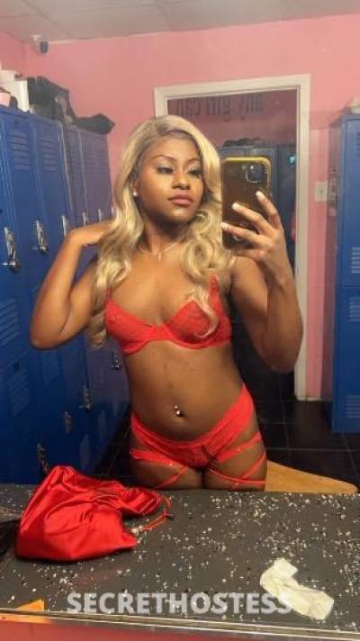 Golddigger 22Yrs Old Escort Houston TX Image - 5