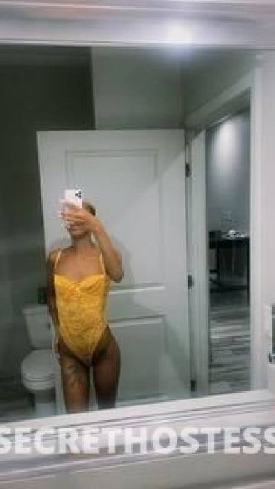 Grey 22Yrs Old Escort College Station TX Image - 10